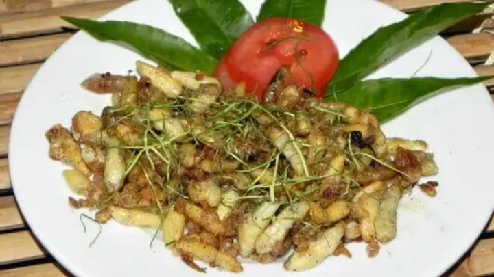 Nhộng ong làm món gì ngon - Nhộng ong xào lăn