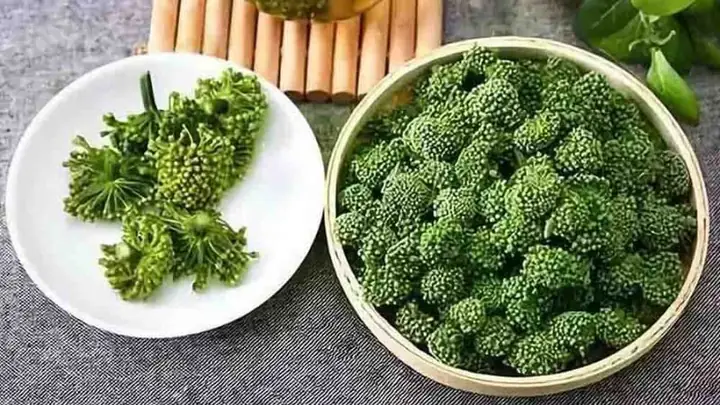 1Nụ hoa tam thất là gì?