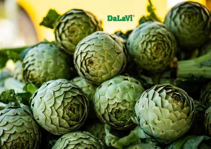 5. Công Dụng Tuyệt Vời Của Bông Atiso