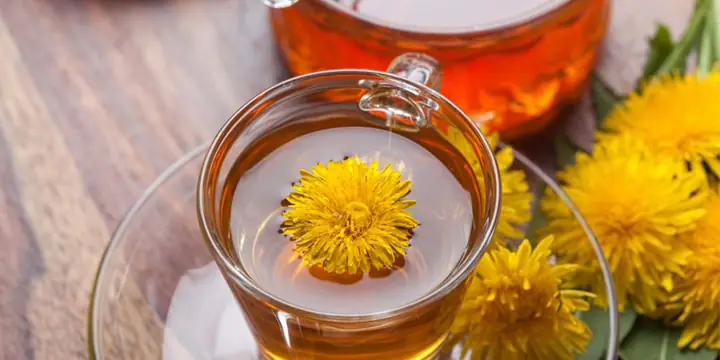 Trà Hoa Bồ Công Anh