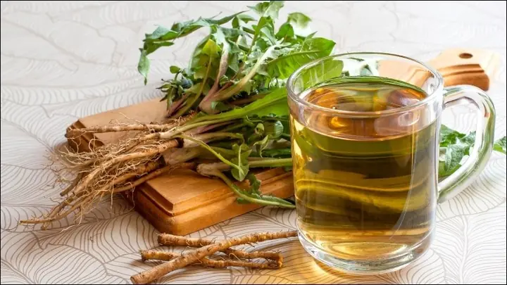 Trà Rễ Cây Bồ Công Anh