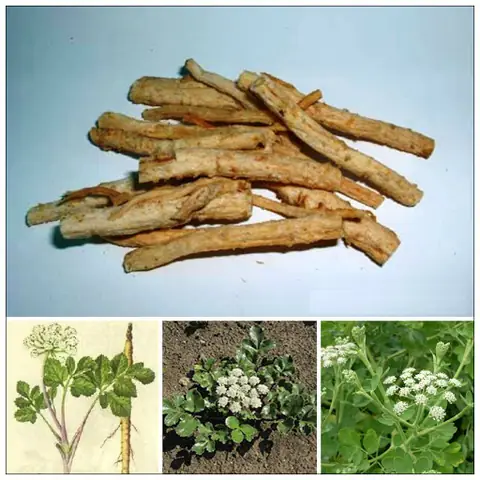 cách nấu nước cam thảo