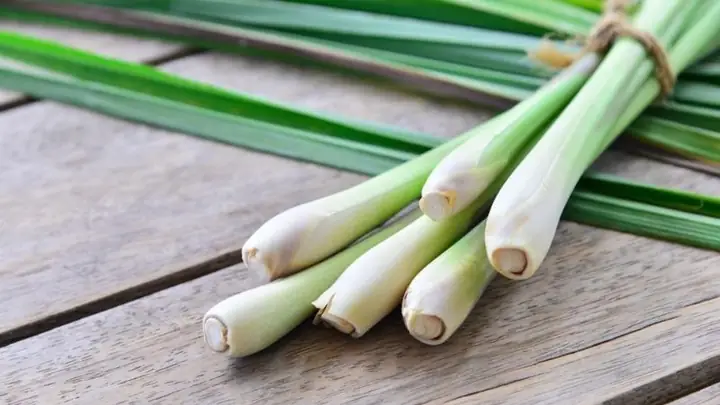 Sả Là Gì? Thành Phần Dinh Dưỡng Có Trong Sả