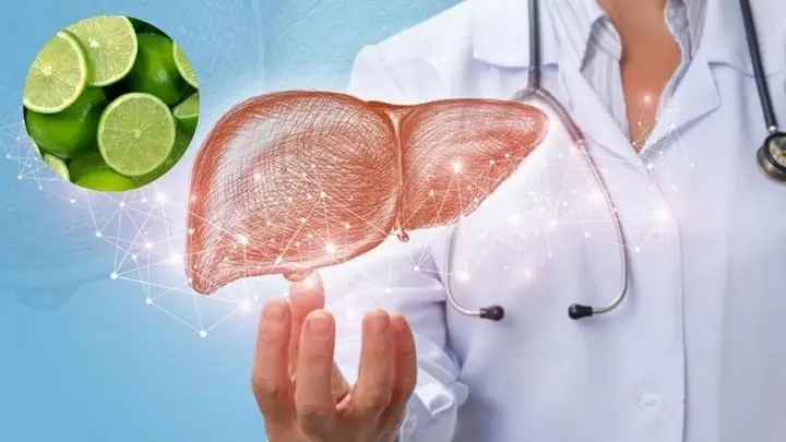 Tác Dụng Của Chanh Đối Với Gan