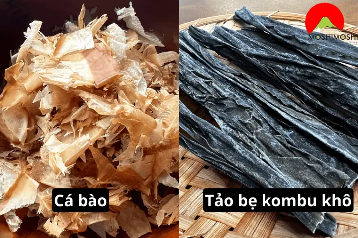 Cá Bào Và Tảo Bẹ Cá Bào Và Tảo Bẹ