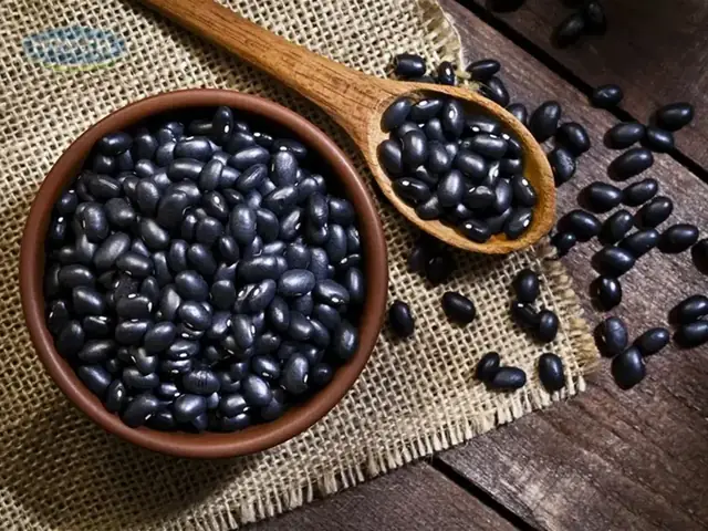 Chuẩn Bị Và Sơ Chế Nguyên Liệu