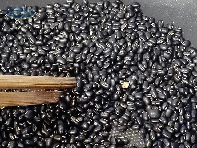 Cách Rang Đậu Đen Xanh Lòng