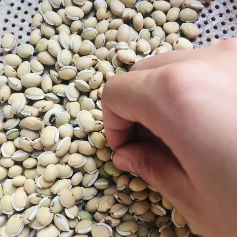 Sơ Chế Đậu Ván