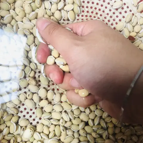 Sơ Chế Đậu Ván
