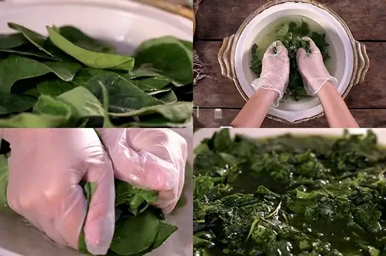 Cách Vò Lá Sương Sâm Để Không Bị Bọt Cách Vò Lá Sương Sâm Để Không Bị Bọt