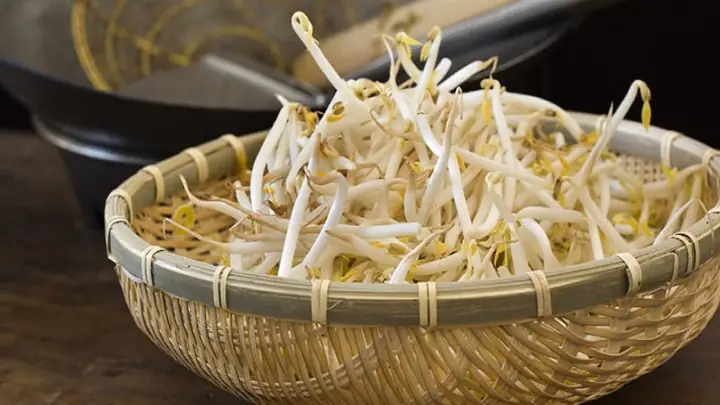 Ăn Giá Đỗ Sống