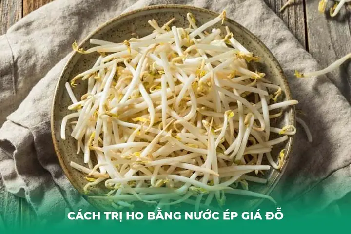 Cách Trị Ho Bằng Nước Ép Giá Đỗ Cách Trị Ho Bằng Nước Ép Giá Đỗ