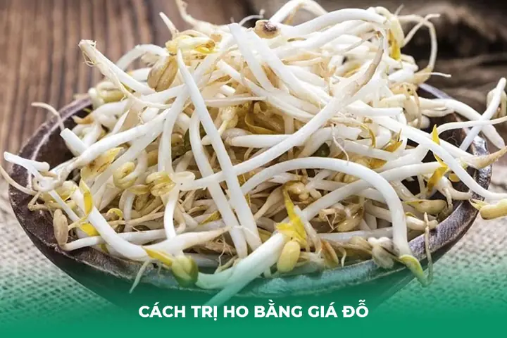 Giá Đỗ Là Những Mầm Non Của Các Loại Đậu Như Đậu Xanh, Đậu Nành, Đậu Đỏ, Đậu Đen,... Theo Y Học Cổ Truyền, Giá Đỗ Có Tính Mát, Vị Hơi Nhạt Và Có Chút Hăng, Mang Lại Nhiều Lợi Ích Cho Sức Khỏe. Nó Có Khả Năng Giải Nhiệt, Thanh Lọc Cơ Thể, Đồng Thời Giảm Viêm, Sưng Và Cảm Giác Ngứa Rát Ở Cổ Họng. Giá Đỗ Là Những Mầm Non Của Các Loại Đậu Như Đậu Xanh, Đậu Nành, Đậu Đỏ, Đậu Đen,... Theo Y Học Cổ Truyền, Giá Đỗ Có Tính Mát, Vị Hơi Nhạt Và Có Chút Hăng, Mang Lại Nhiều Lợi Ích Cho Sức Khỏe. Nó Có Khả Năng Giải Nhiệt, Thanh Lọc Cơ Thể, Đồng Thời Giảm Viêm, Sưng Và Cảm Giác Ngứa Rát Ở Cổ Họng.