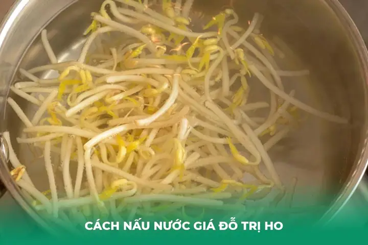 Cách Nấu Nước Giá Đỗ Trị Ho Cách Nấu Nước Giá Đỗ Trị Ho
