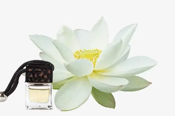 Ứng dụng trong thư giãn và spa