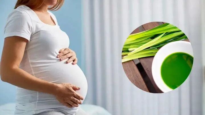 3tiểu Đường Thai Kỳ Có Sử Dụng Lá Dứa Được Không? 3tiểu Đường Thai Kỳ Có Sử Dụng Lá Dứa Được Không?