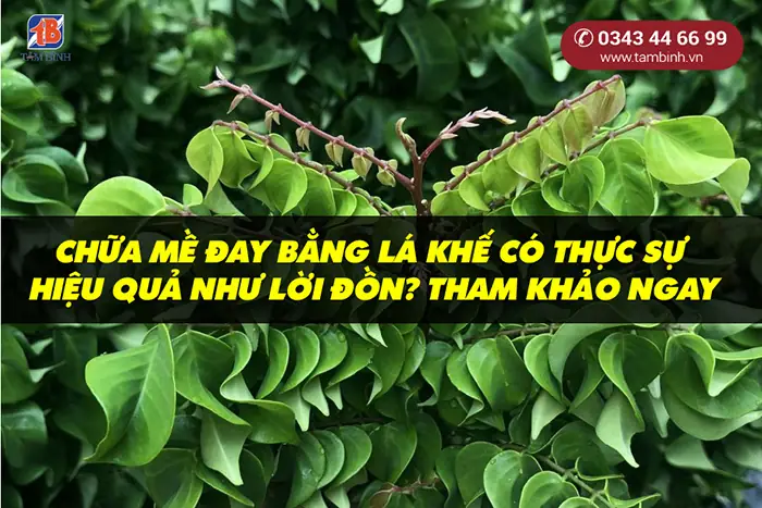 1. Vì Sao Lá Khế Có Công Dụng Chữa Mề Đay?