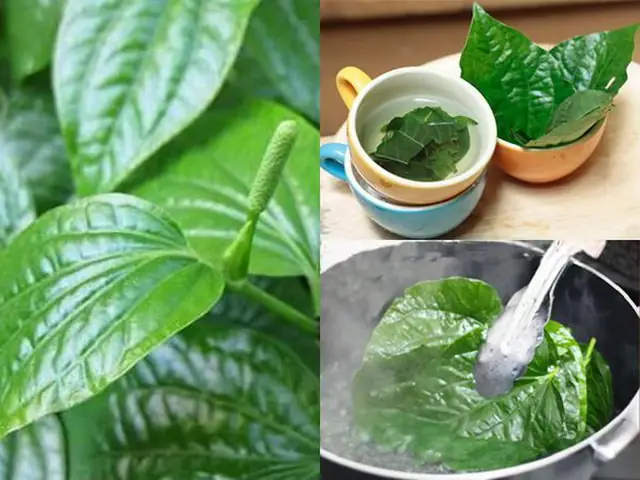 Chữa Đau Nhức Xương Khớp