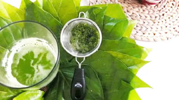 Uong Nuoc La Lot Co Tac Dung Gi