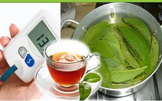 Trường Hợp Nên Dùng Nước Lá Ổi Thường Xuyên Hơn Trường Hợp Nên Dùng Nước Lá Ổi Thường Xuyên Hơn