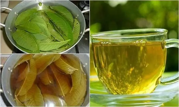 Tac-dung-cua-nuoc-la-oi