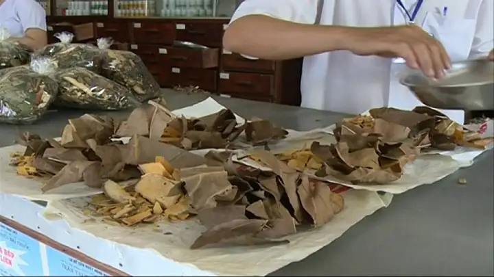 3. Kết hợp lá sake khô với các vị thuốc thảo dược chữa bệnh gout