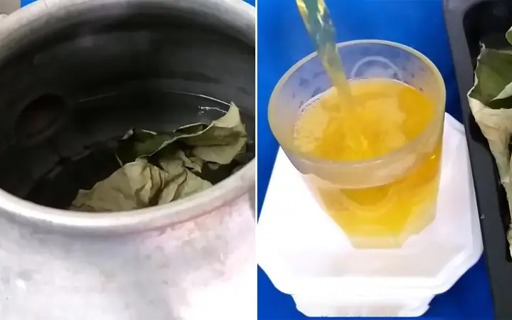 Bước 2Nấu nước lá sen Bước 2Nấu nước lá sen