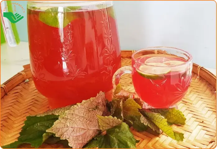 5. Lợi Sữa 5. Lợi Sữa