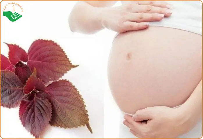 6. Một Số Lợi Ích Khác 6. Một Số Lợi Ích Khác