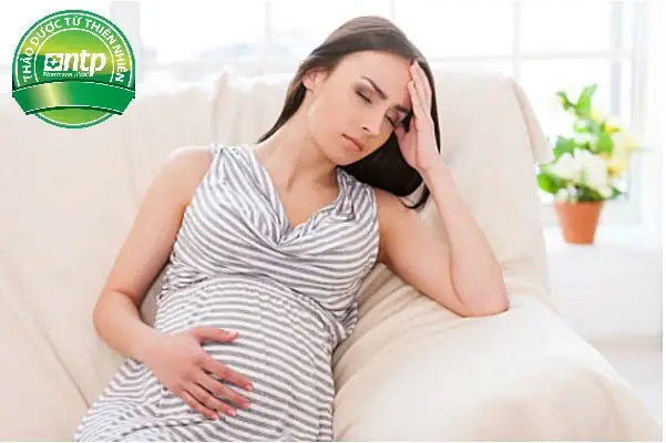 Hướng Dẫn Chi Tiết Cách Nấu Nước Lá Tía Tô Cho Bà Đẻ