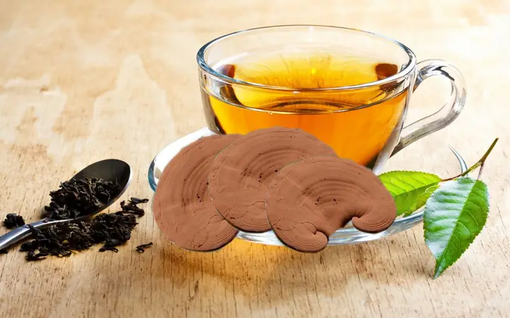 Trà nấm linh chi Trà nấm linh chi