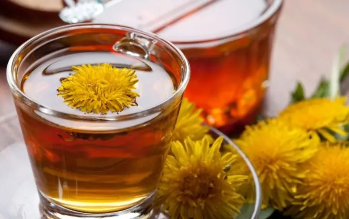 Nước Bồ Công Anh