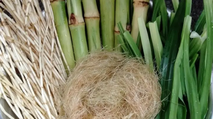 Bước 1: Sơ Chế Nguyên Liệu Bước 1: Sơ Chế Nguyên Liệu