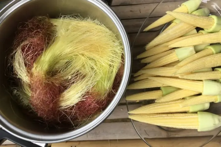 2. Bí Quyết Chọn Mua Nguyên Liệu Tươi Ngon 2. Bí Quyết Chọn Mua Nguyên Liệu Tươi Ngon