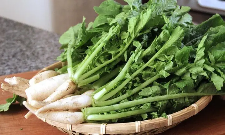 3. Mua cải củ ngon 3. Mua cải củ ngon