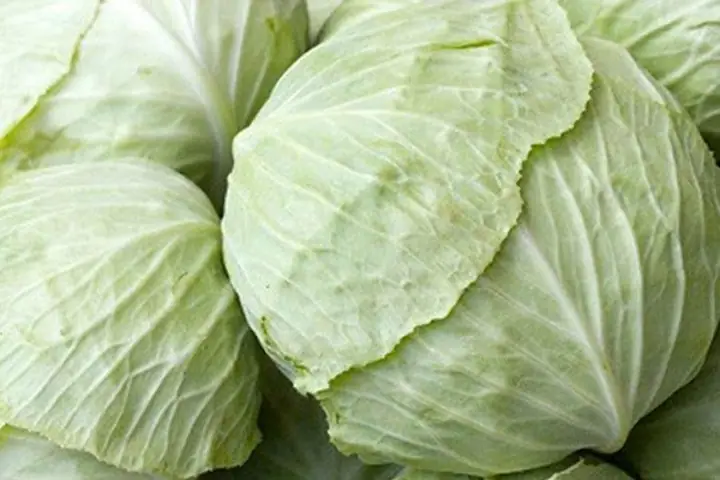 2. Chọn bắp cải 2. Chọn bắp cải