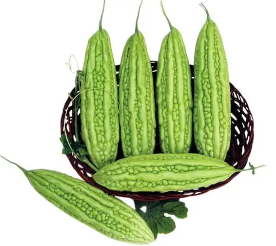 Những lưu ý mẹ cần nắm rõ khi tắm mướp đắng trị rôm sảy ở trẻ