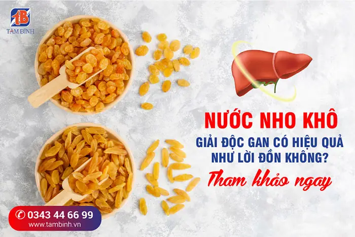 2. Nước Nho Khô Giải Độc Gan Có Hiệu Quả Không? 2. Nước Nho Khô Giải Độc Gan Có Hiệu Quả Không?