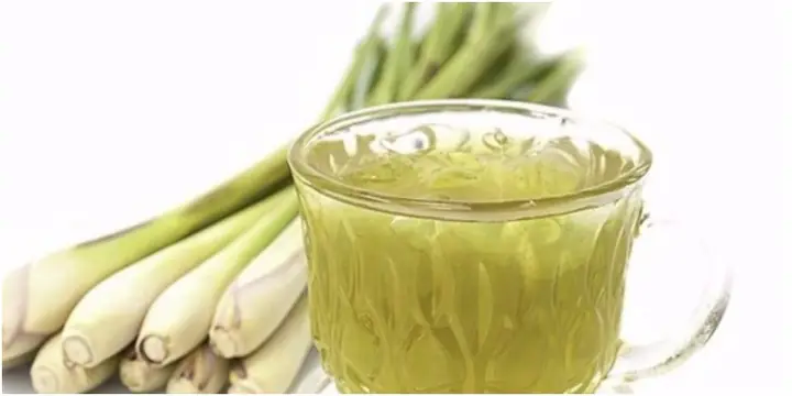 Uống Nước Sả Có Tác Dụng Gì? Uống Nước Sả Có Tác Dụng Gì?