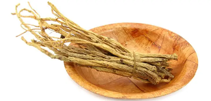 Sam-day-ngoc-linh_kho-1 Sam-day-ngoc-linh_kho-1