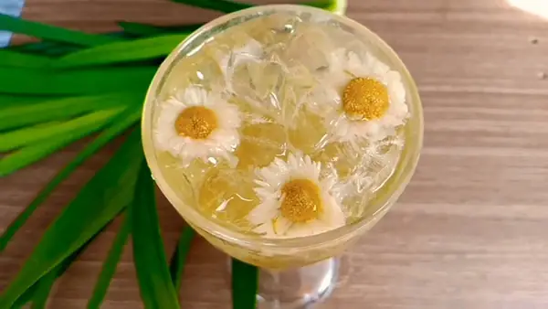 2. Sâm Bông Cúc Thanh Nhiệt: 2. Sâm Bông Cúc Thanh Nhiệt: