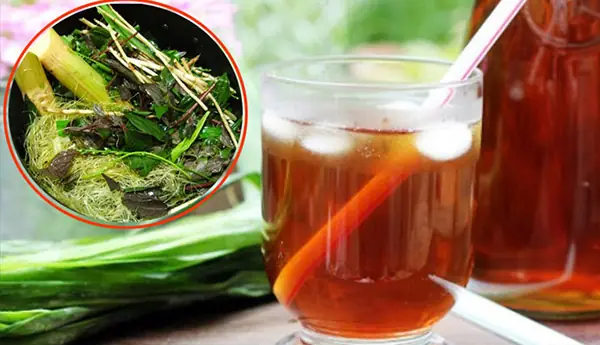 6. Sâm Thảo Mộc Thanh Nhiệt, Giải Độc: 6. Sâm Thảo Mộc Thanh Nhiệt, Giải Độc: