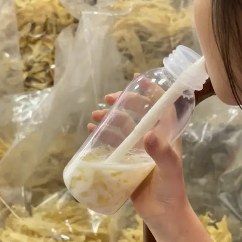 Cách Nấu Thạch Mát Từ Nước Lê Thảo Mộc