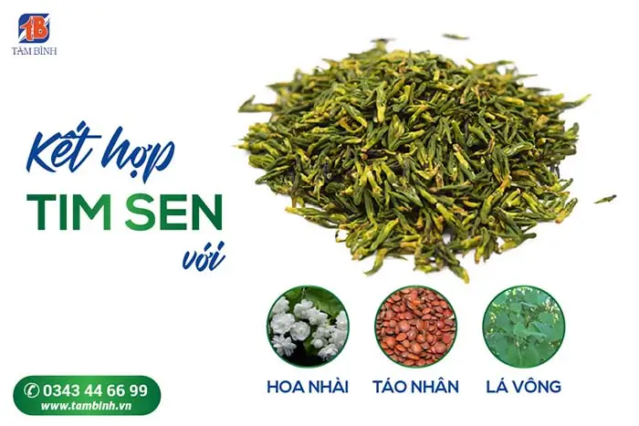 Cách Pha Tim Sen Với Hoa Nhài, Sinh Thảo Quyết Minh Chữa Mất Ngủ Kinh Niên