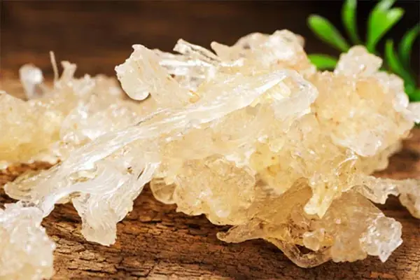 Chè dưỡng nhan có tác dụng gì? Chè dưỡng nhan có tác dụng gì?