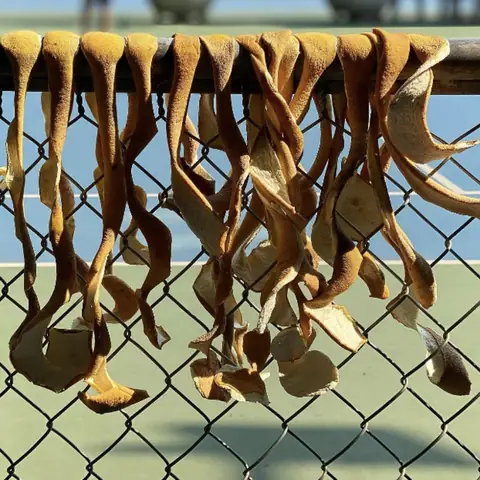 Cách nấu nước gội đầu từ vỏ bưởi tươi hoặc khô