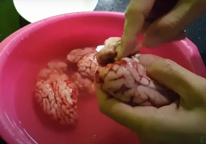 Sơ chế nguyên liệu Sơ chế nguyên liệu