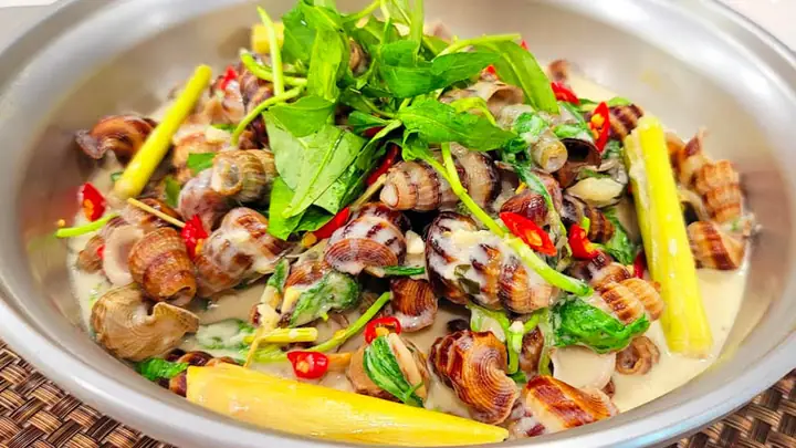 Ốc Hút Nước Cốt Dừa Là Một Trong Những Món Ăn Dành Cho Tín Đồ Mê Ốc. Cùng Tìm Hiểu Cách Nấu Ốc Hút Nước Cốt Dừa Đơn Giản Ngay Tại Nhà.