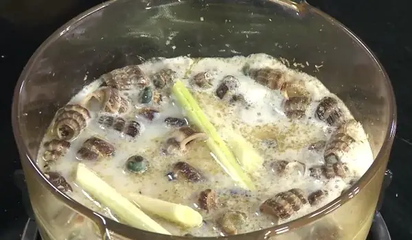 Nấu Ốc Len Xào Dừa Nấu Ốc Len Xào Dừa