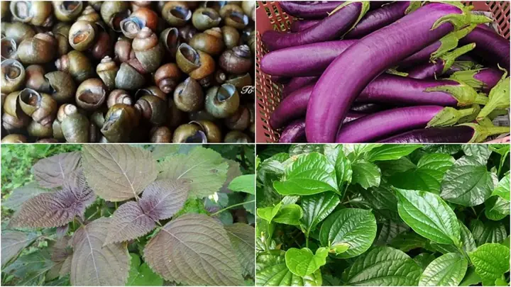 Cách Chọn Mua Nguyên Liệu Tươi Ngon